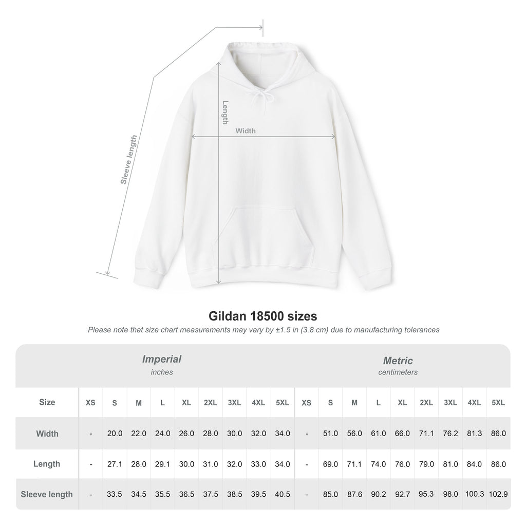 Worth — U.S. Space Force Veteran Hoodie